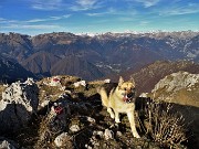 74 Dori perlustra la cima del Venturosa